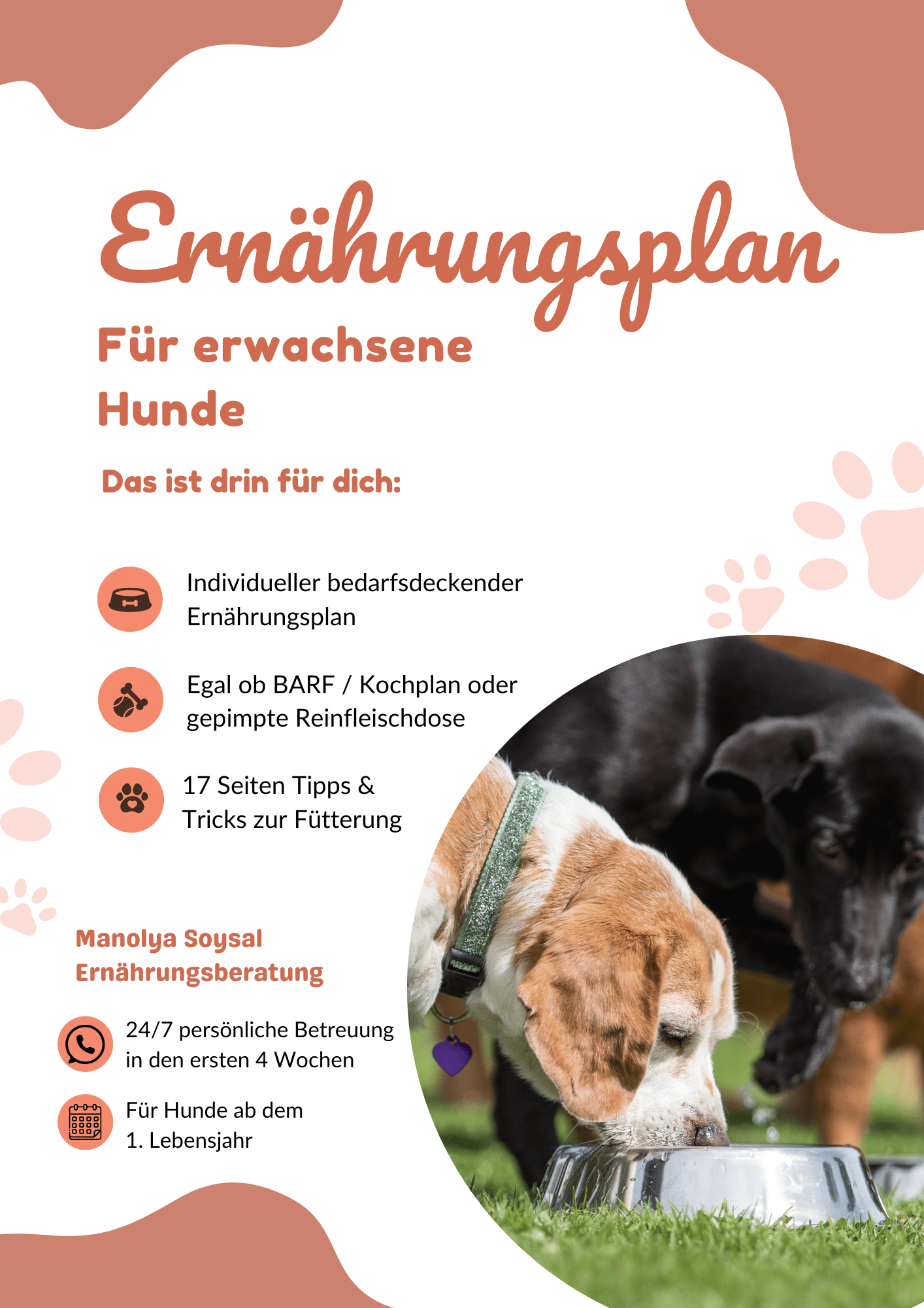 Ernährungsplan für erwachsene Hunde