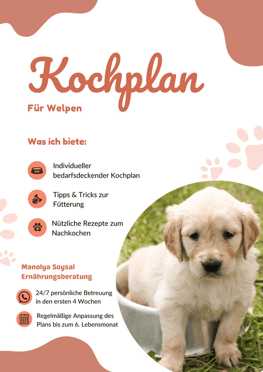 KOCHPLAN - Welpe
