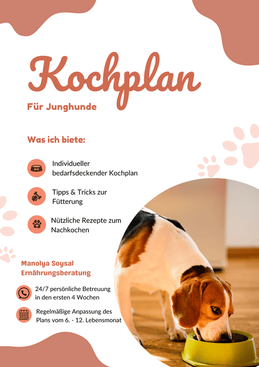 KOCHPLAN - Junghund