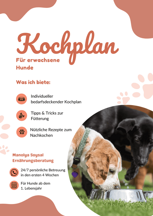 KOCHPLAN - Adult