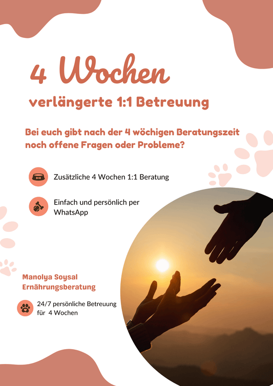 4 Wochen zusätzliche 1:1 Betreuung